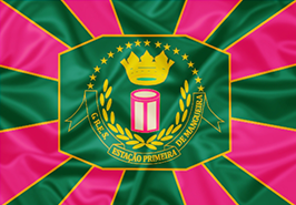 Estação Primeira de Mangueiraの公式エンブレム